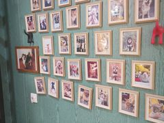 -严国平动物医院(德政总院)