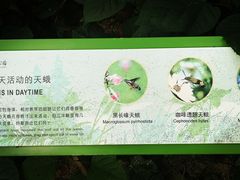 -西湖风景区-江洋畈生态公园