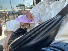 -星巴克(成都科学城店)