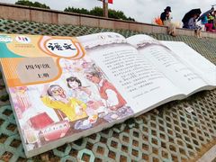 -观潮胜地公园