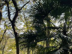 -上海佘山国家森林公园西佘山园