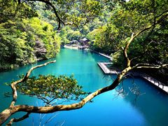 -祁门牯牛降观音堂风景区