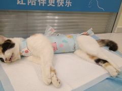 -美迦爱-牙专科·兔科·骨科诊疗中心(北苑店)