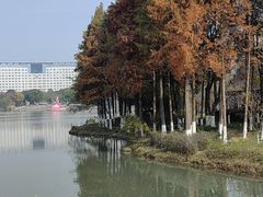 -青枫公园