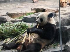 -秦皇岛野生动物园