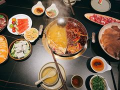 -朱光玉火锅馆(龙阳广场店)