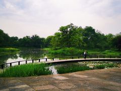 -西溪国家湿地公园