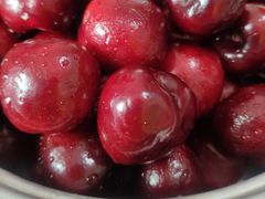 -上海浦南农副产品批发市场