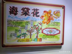 -上海昆虫博物馆