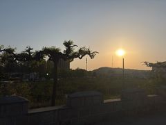 -小仙居·农家宴烤羊· 农庄