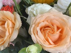 -上岛咖啡(珠园店)