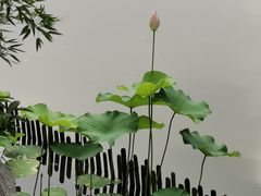 -檀园