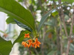 -西昌邛海宾馆