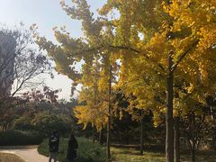 -北极寺公园
