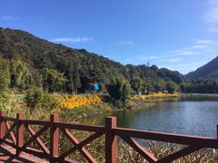 -广州市石门国家森林公园