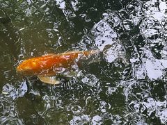 -春风习习