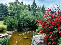 -铁山坪森林公园