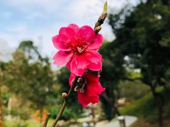-桃花涧
