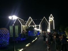 -大塘金香草谷