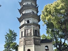 -苏州上方山国家森林公园