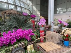 -郑州植物园