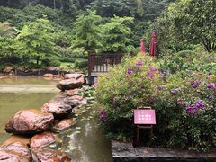 -南宁荔园维景国际酒店·荔园中餐厅