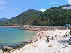-杨梅坑
