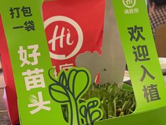 -海底捞火锅(连城广场店)