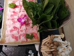 -新草堂锅物料理(泉城路店)