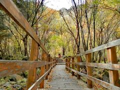 -叠溪松坪沟景区