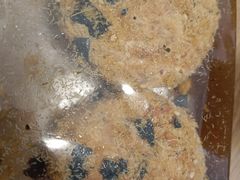 -好利来(上海长宁龙之梦店)
