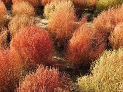 -映月湖中央公园