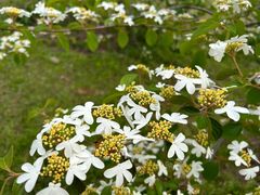 -华南国家植物园-售票处