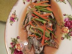 -阿姨来了家政·月嫂育儿嫂保姆(黄浦区店)