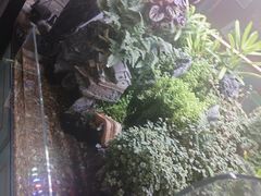-牛犇炭火烤肉·鲜切烤肉(承德总店)