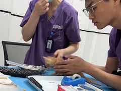 -萌兽医馆·绝育·24小时内科·宠物医院(德胜店)