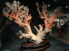 -台北故宫博物院