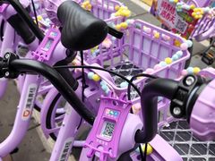 -华西坝(地铁站)