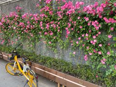 -芳华路(地铁站)