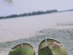 -东郊椰林