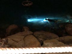 -越海渔村