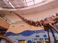 -陕西自然博物馆