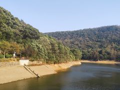 -桃花岭景区