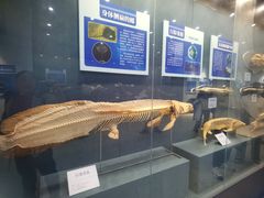 -黑石礁公园