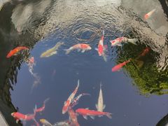 -西安市广仁寺