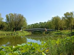 -东郊湿地公园