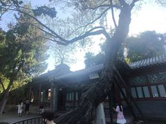 -莲池书院博物馆