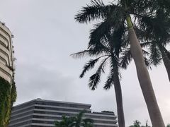-星光大道