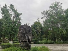 -重庆彩云湖湿地公园