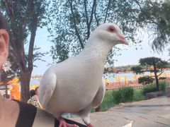 -中国翰园碑林
